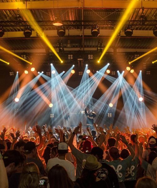 audience-1853662_1920